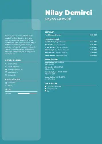 Reyon Görevlisi cv indir